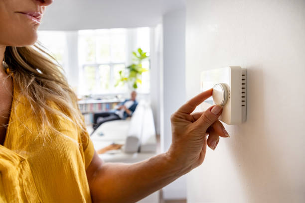 Best Local HVAC companies  in Cane Savannah, SC